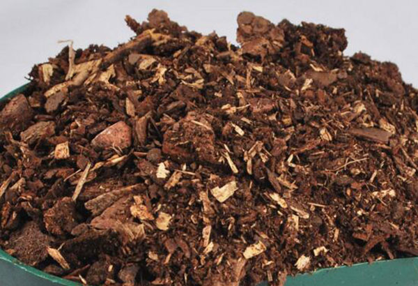 中藥渣烘干機處理前 中藥渣烘干機處理前